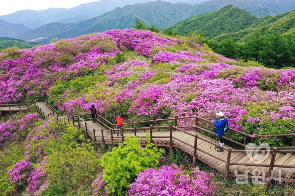 바래봉